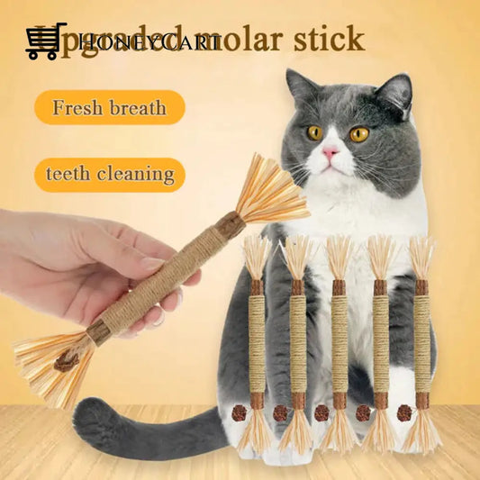 Cat Teeth Grinding Toy Tool