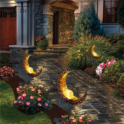 Celestial Garden Light