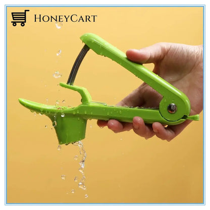 Cherry Seed Removal Olive Pitter Remover
