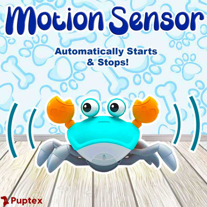 Crawling Crab – Interactive Dog Toy