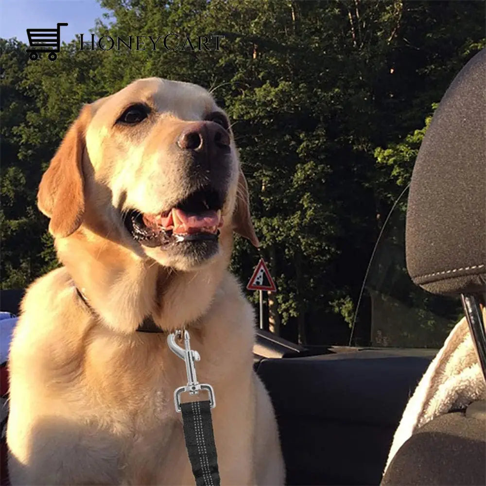 Dog Car Safety Seat Belt