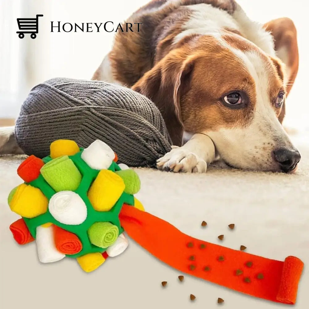 Dog Chew Toy