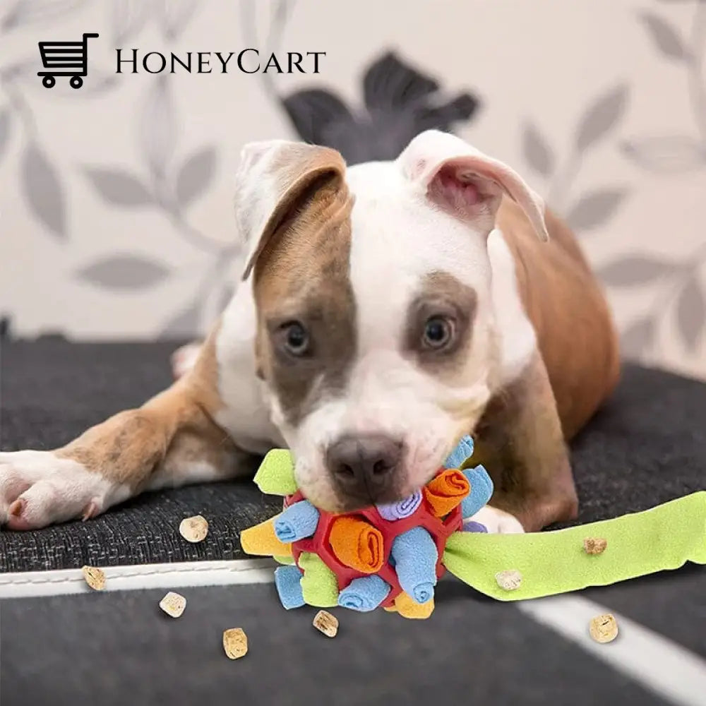 Dog Chew Toy