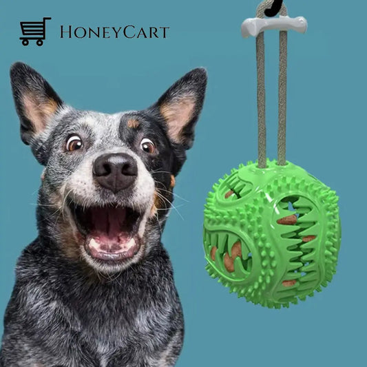 Dog Interactive Tooth Cleaning Toy Balls Pet Bowls Feeders & Waterers