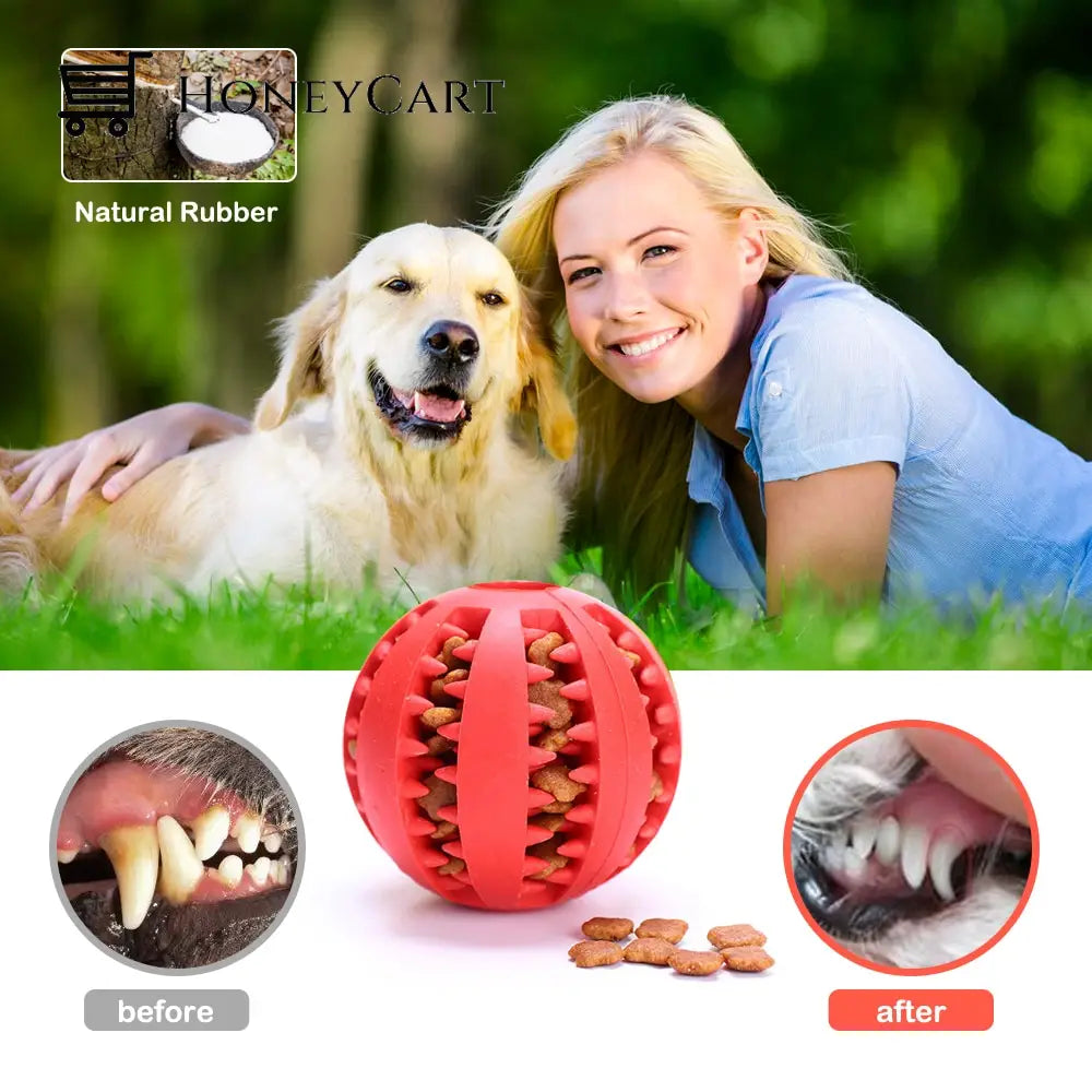 Dog Interactive Tooth Cleaning Toy Balls Pet Bowls Feeders & Waterers