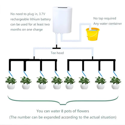Automatic Watering Pump Controller