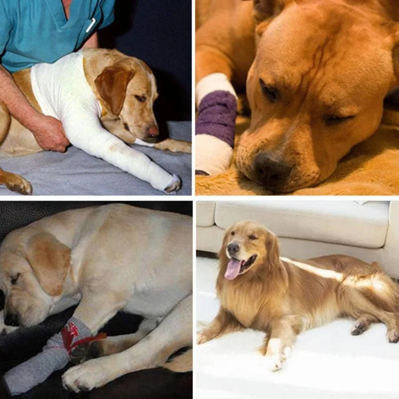 Dog Ankle Support Brace with Neoprene Compression and Reflective Strips