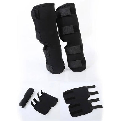 Dog Ankle Support Brace with Neoprene Compression and Reflective Strips