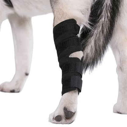 Dog Ankle Support Brace with Neoprene Compression and Reflective Strips