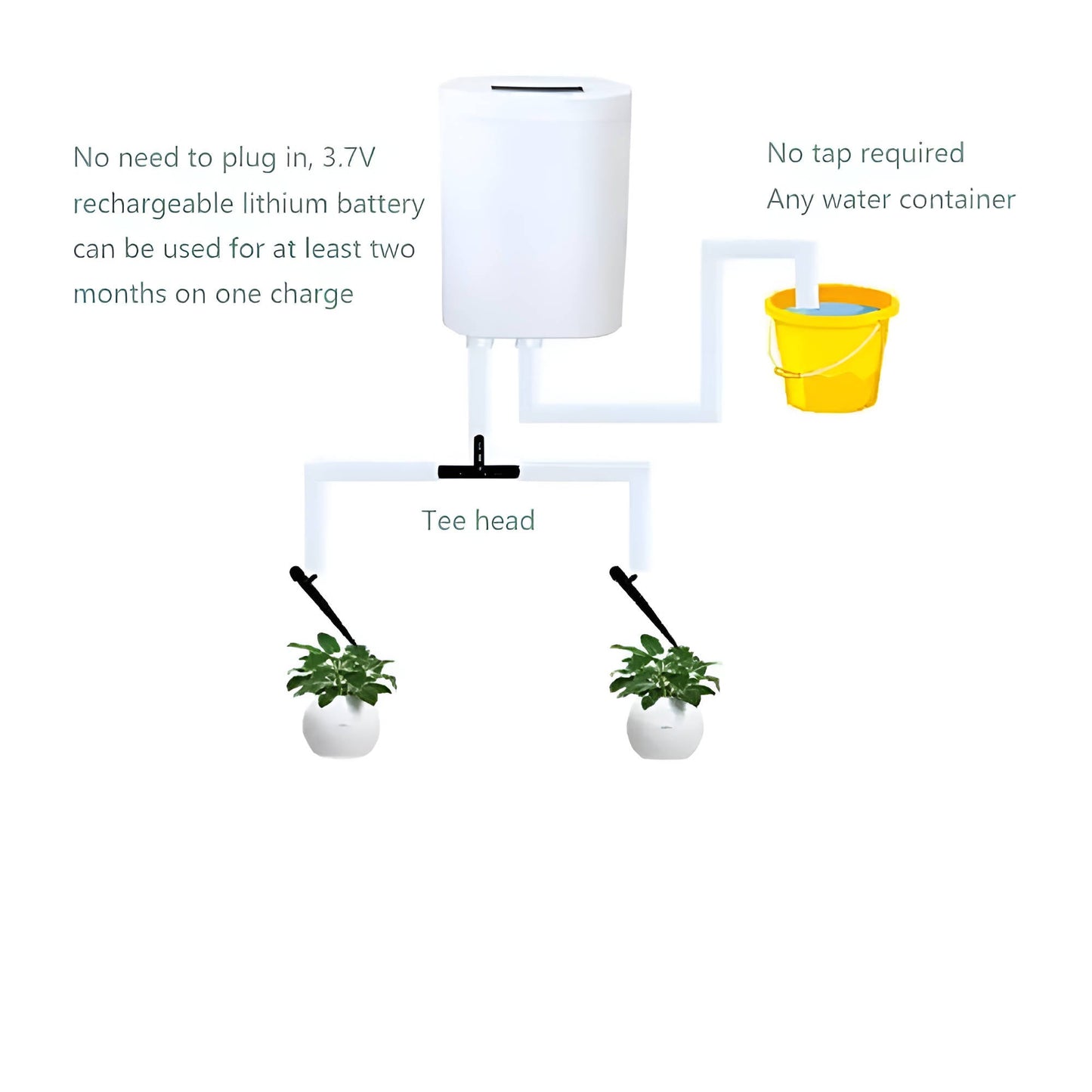 Automatic Watering Pump Controller