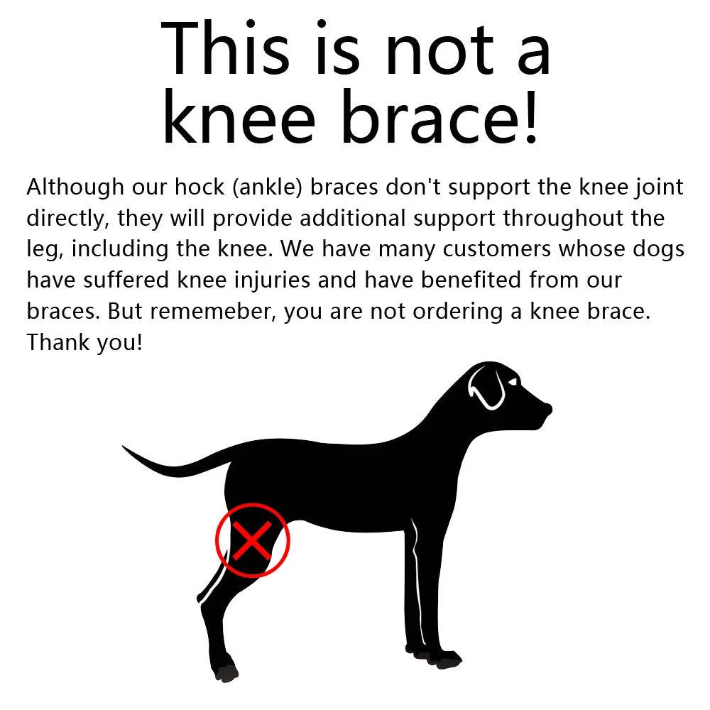 Dog Ankle Support Brace with Neoprene Compression and Reflective Strips