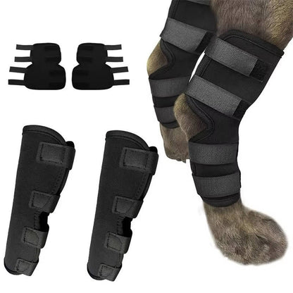 Dog Ankle Support Brace with Neoprene Compression and Reflective Strips