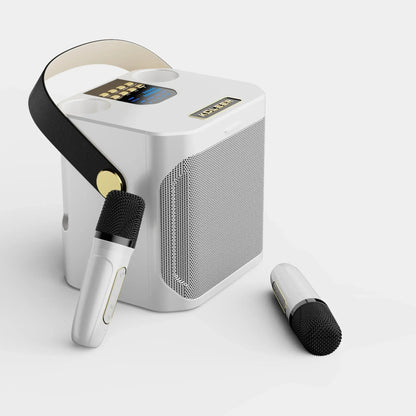 Portable High Power Karaoke Bluetooth Speaker | 100W, Dual Microphones & Perfect for Parties, Camping & Outdoor Gatherings