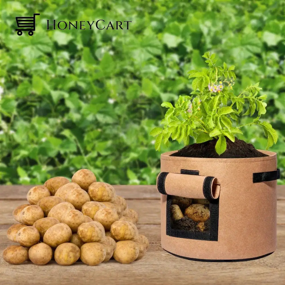 Fabric Potato Grow Bags Google Feeds