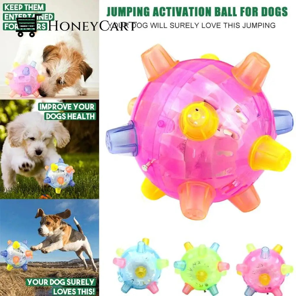 Formydoggy Jumping Activation Ball Dog Toys