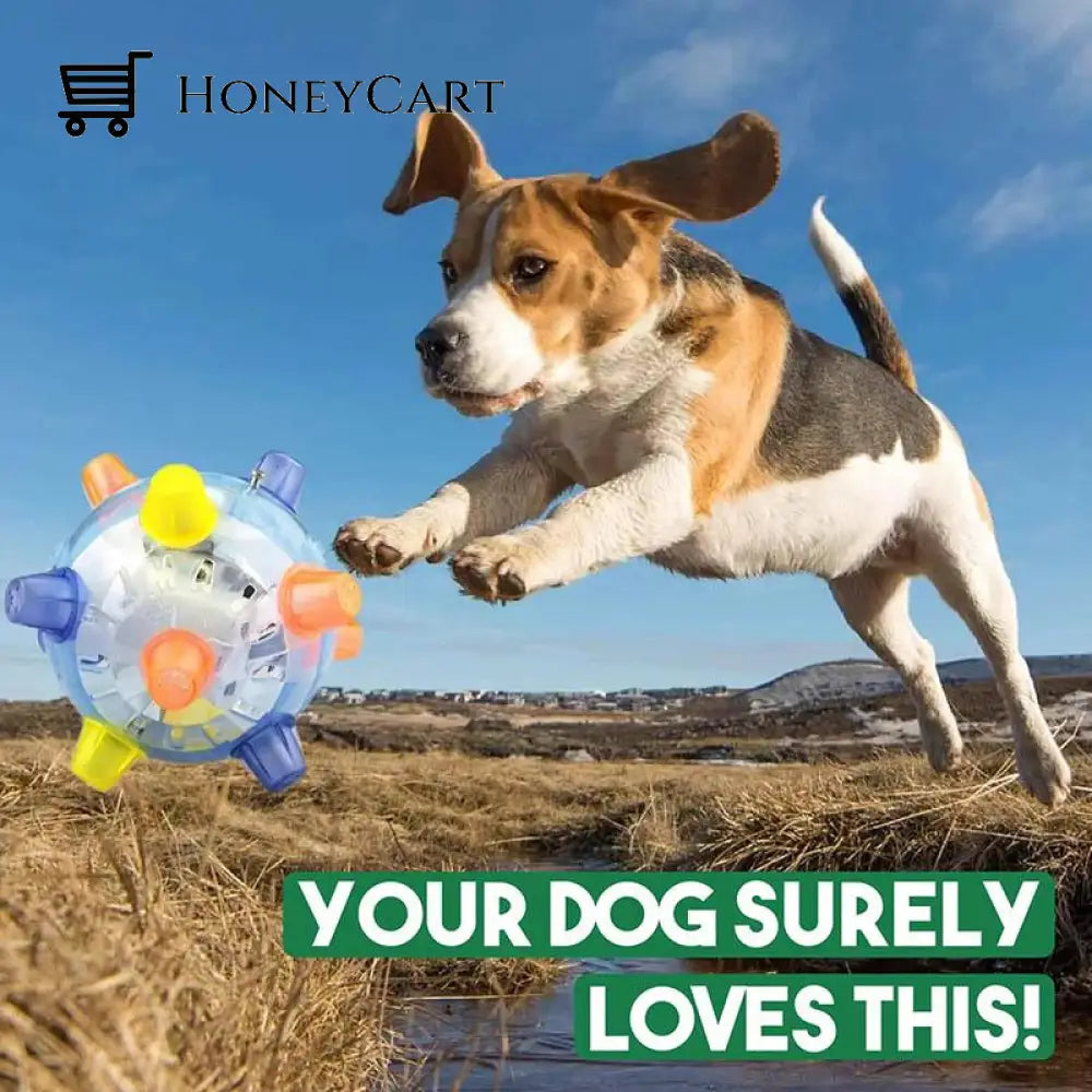Formydoggy Jumping Activation Ball Dog Toys