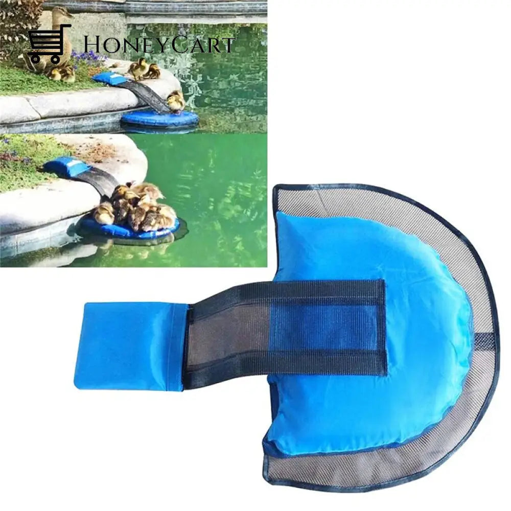 Frog Small Animal Saving Escape Ramp For Pool Safe Environmental Ltt-Ramp