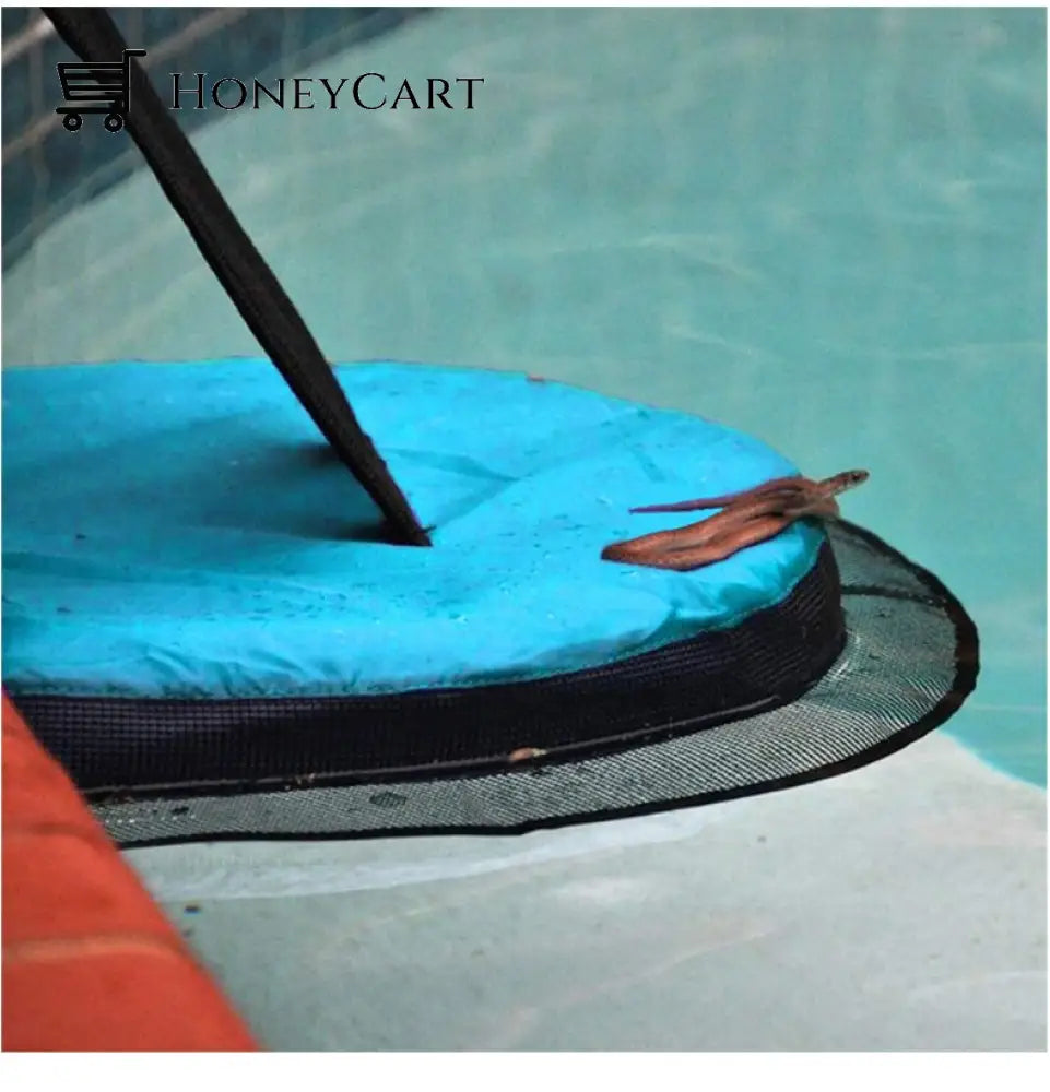 Frog Small Animal Saving Escape Ramp For Pool Safe Environmental Ltt-Ramp