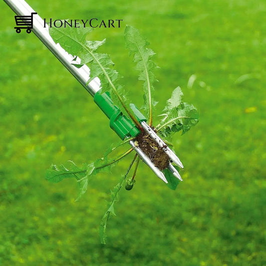 Gardening Weed Remover