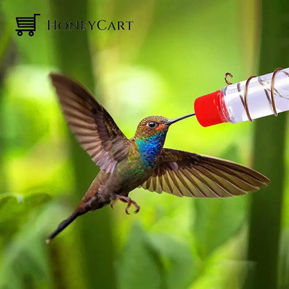 Geometric Window Hummingbird Feeders For Outdoors