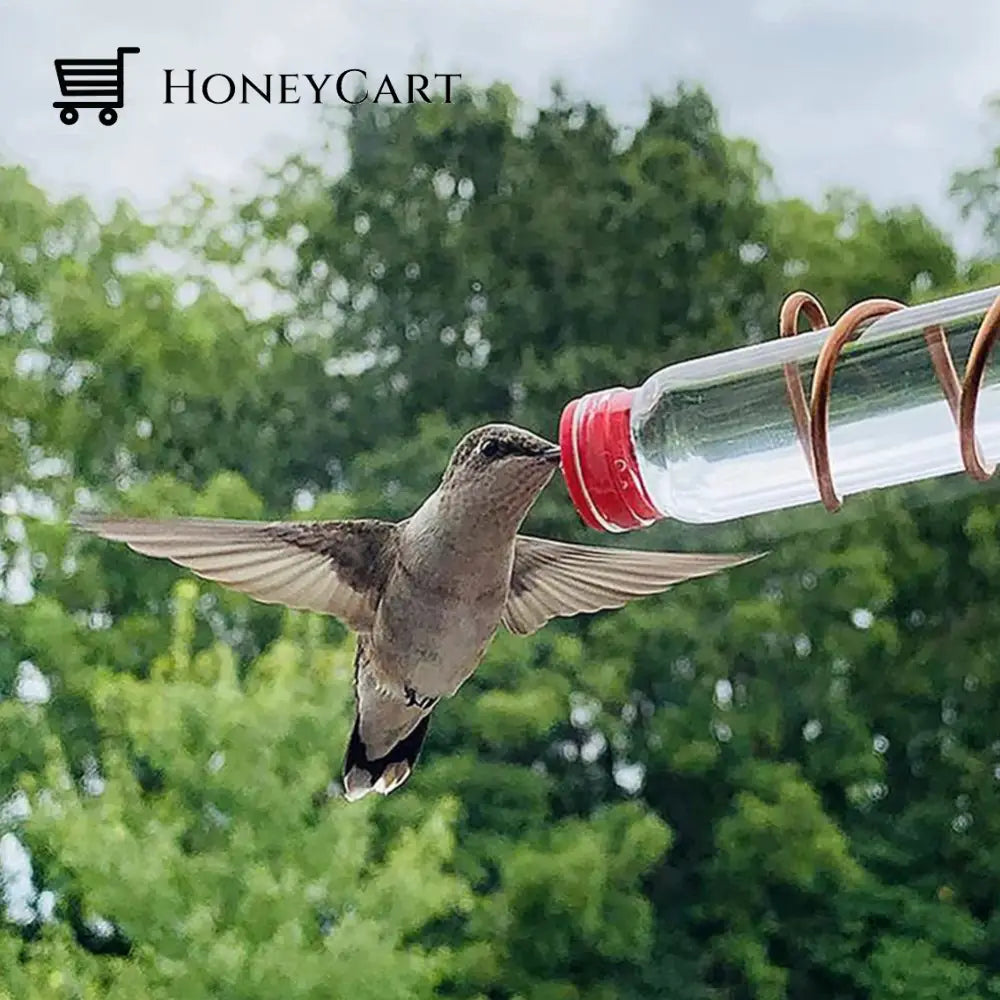 Geometric Window Hummingbird Feeders For Outdoors