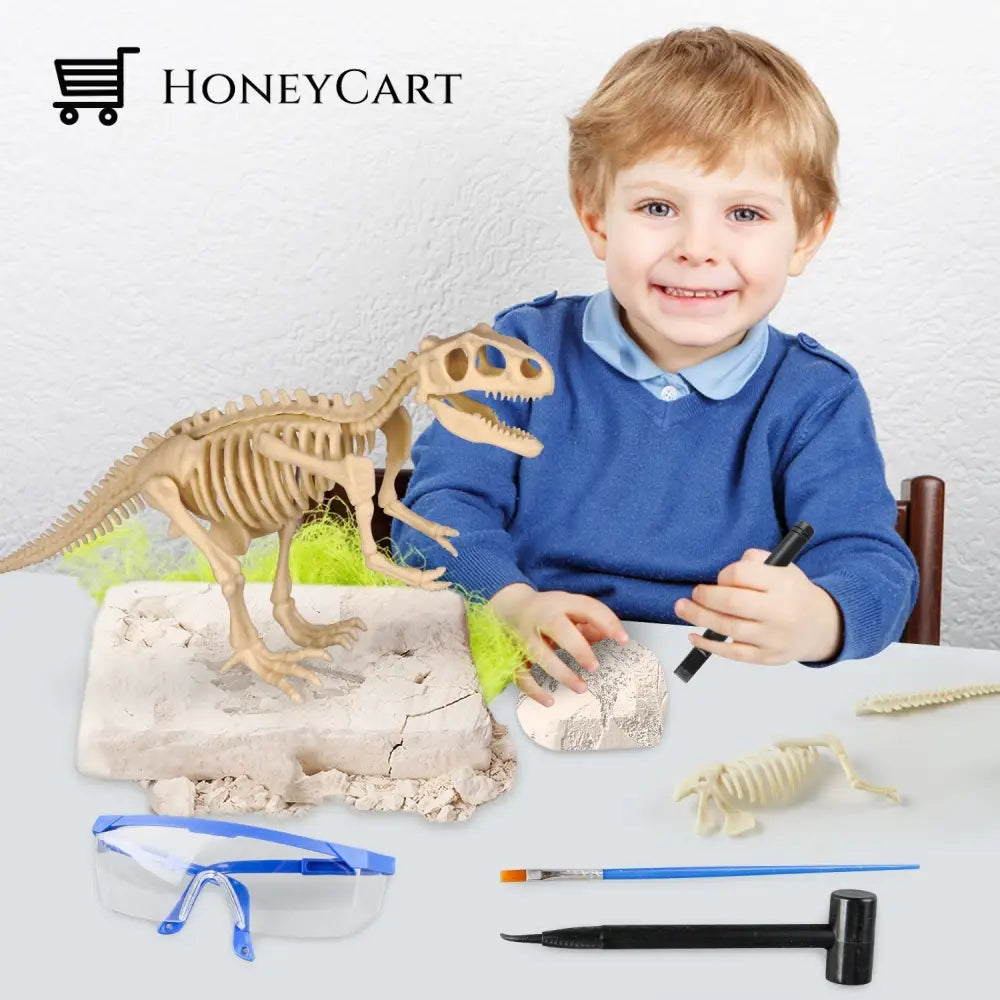 Great Educational Toy For Kids Dinosaur Fossil Digging Kit