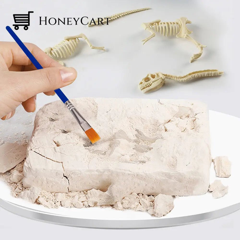 Great Educational Toy For Kids Dinosaur Fossil Digging Kit