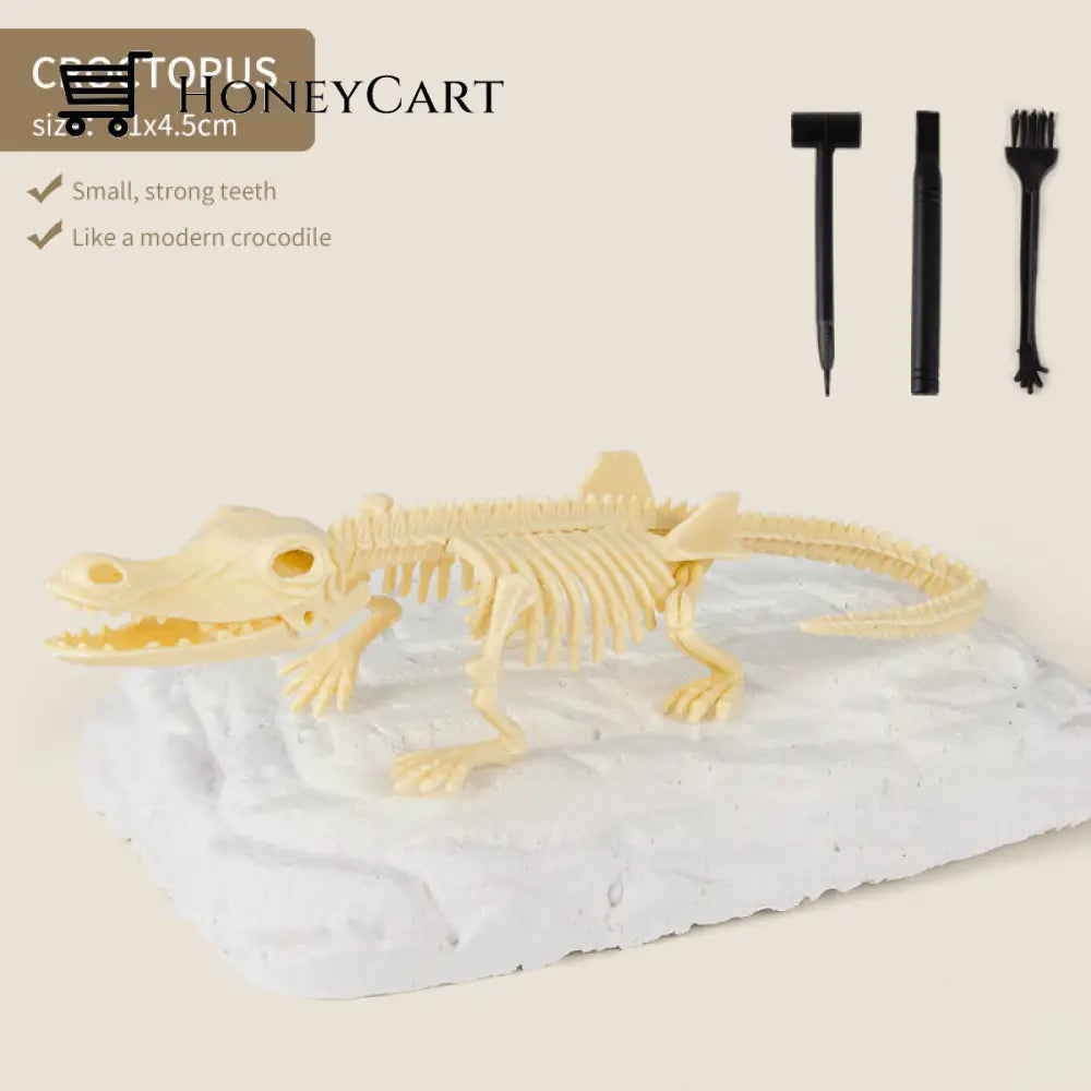 Great Educational Toy For Kids Dinosaur Fossil Digging Kit Croctopus