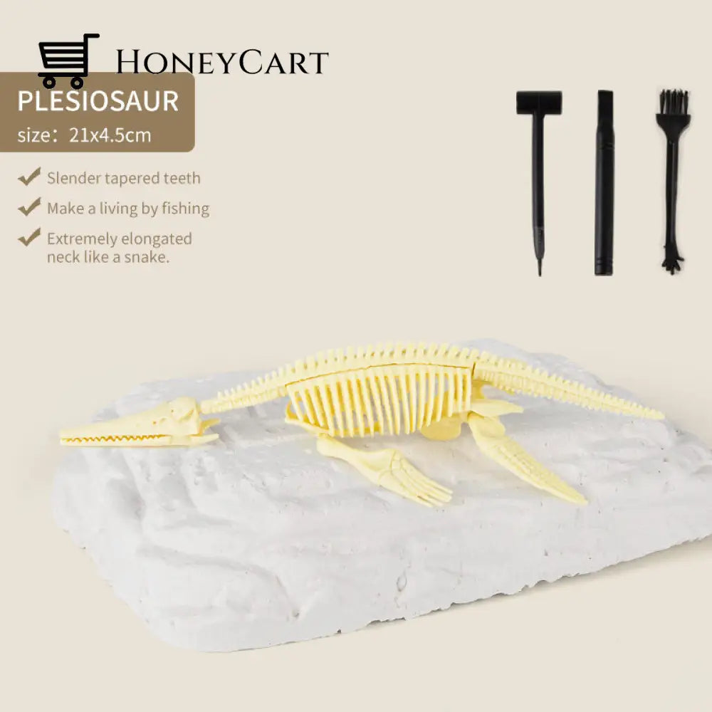 Great Educational Toy For Kids Dinosaur Fossil Digging Kit Plesiosaurus