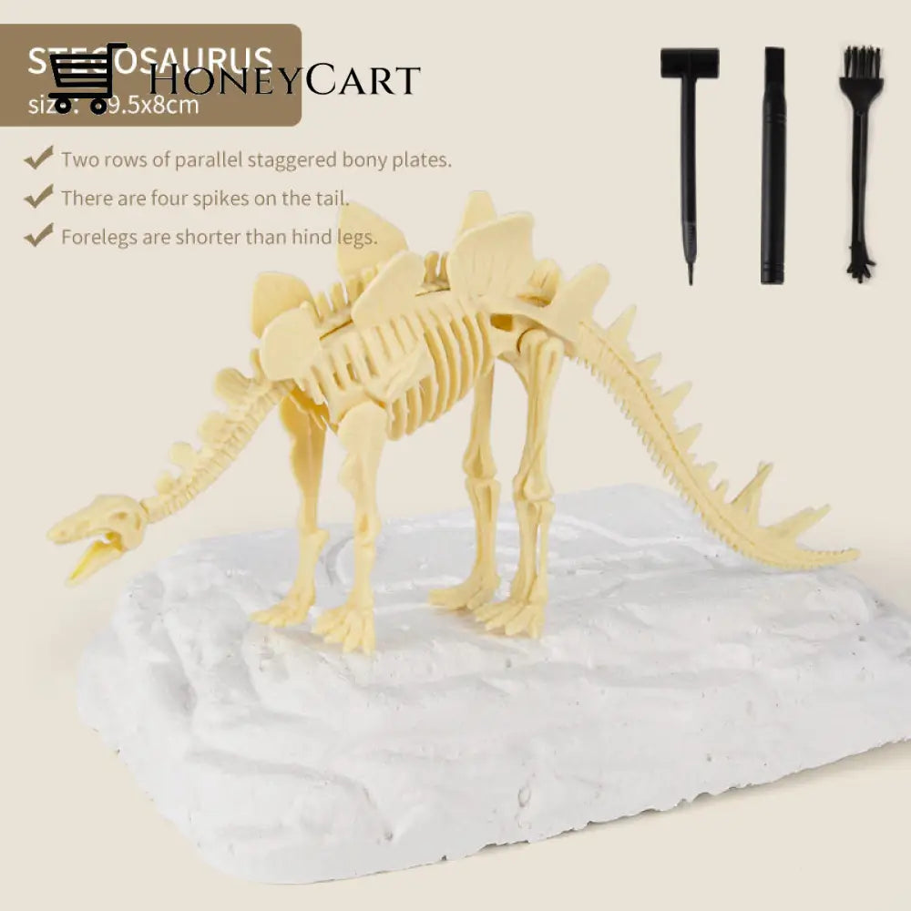 Great Educational Toy For Kids Dinosaur Fossil Digging Kit Stegosaurus
