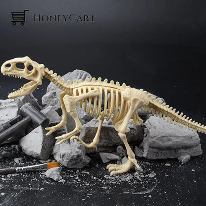 Great Educational Toy For Kids Dinosaur Fossil Digging Kit Tyrannosaurus Rex