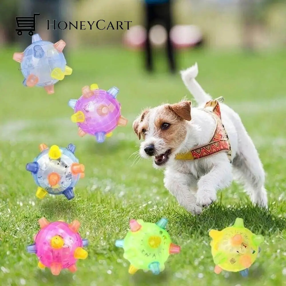 Hot Salejumping Activation Ball For Dogs And Cats