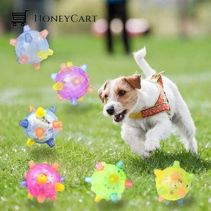Hot Salejumping Activation Ball For Dogs And Cats