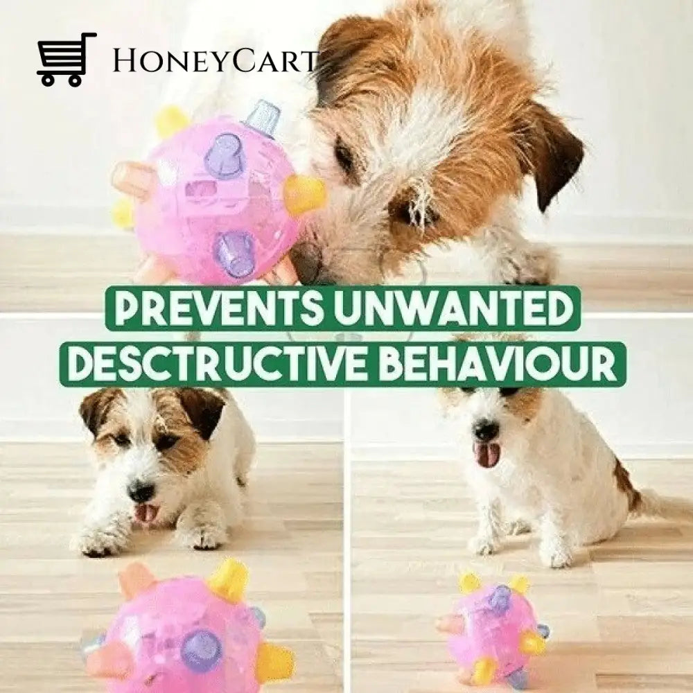 Hot Salejumping Activation Ball For Dogs And Cats