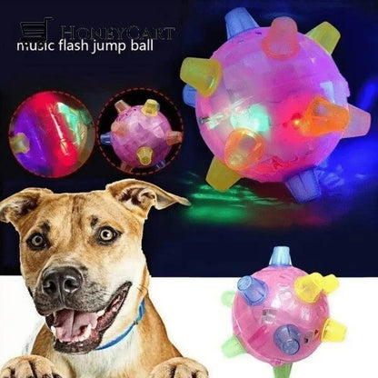 Hot Salejumping Activation Ball For Dogs And Cats