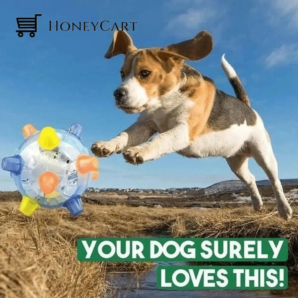 Hot Salejumping Activation Ball For Dogs And Cats