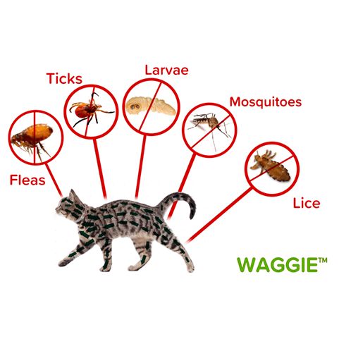 Waggie™ - Natural Anti-Flea, Tick, & Mosquito Collar (Human-Grade 8+ Months Protection)