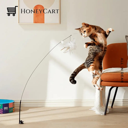 Kitten Playing Teaser Wand Toy