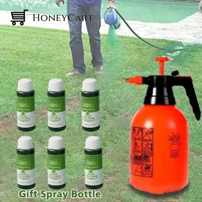 Last Day Save 45% 0Ff -Hot Sale Green Grass Lawn Spray-Only $9.99!!! 1 Spray Pot + 6 Liquid (Save