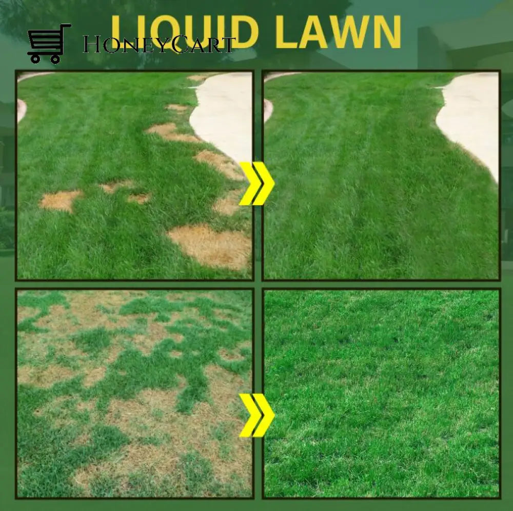 Last Day Save 45% 0Ff -Hot Sale Green Grass Lawn Spray-Only $9.99!!! Tool