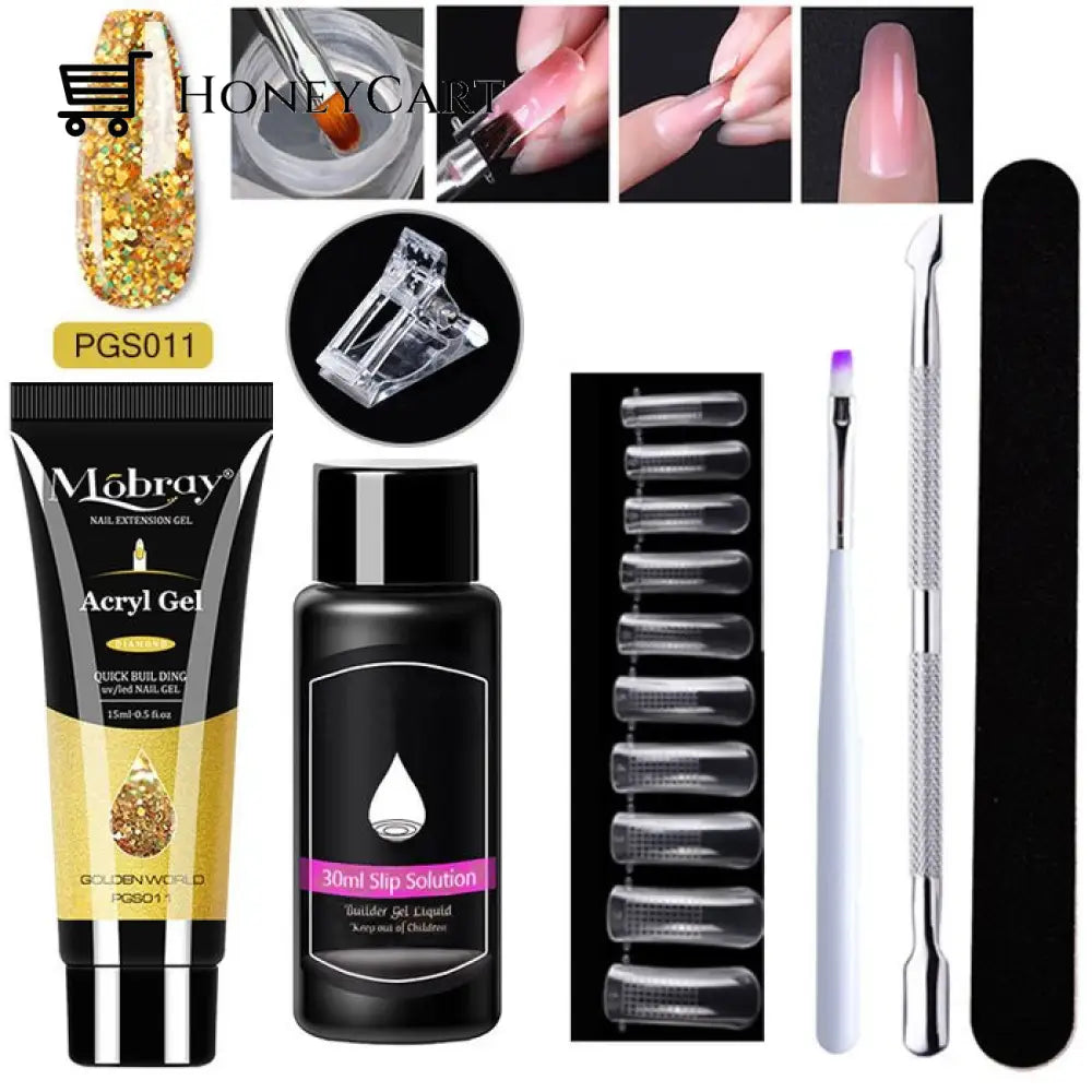 Luxury Polygel Nail Kit Pgs011