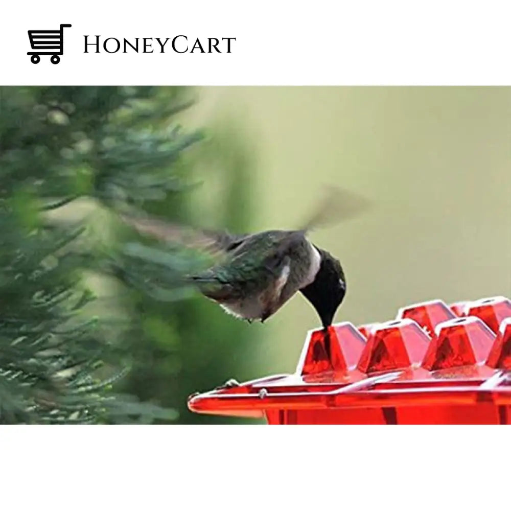 Marys Sweety Hummingbird Feeder With Perch And Built-In Ant Moat - Easy To Clean Best Feeders Gift