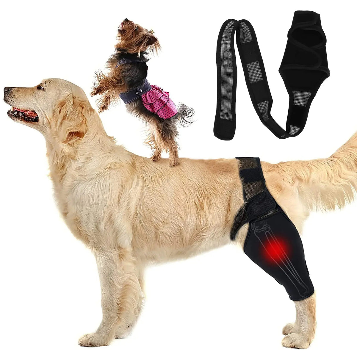 Dog Knee Brace | Adjustable Neoprene Support for Joint Pain & ACL Recovery for All Breeds