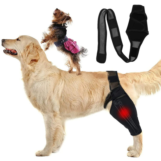 Dog Knee Brace | Adjustable Neoprene Support for Joint Pain & ACL Recovery for All Breeds