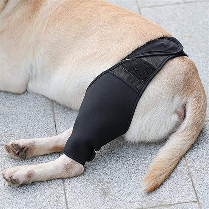 Dog Knee Brace | Adjustable Neoprene Support for Joint Pain & ACL Recovery for All Breeds