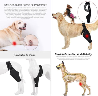 Dog Knee Brace | Adjustable Neoprene Support for Joint Pain & ACL Recovery for All Breeds