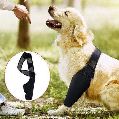 Dog Knee Brace | Adjustable Neoprene Support for Joint Pain & ACL Recovery for All Breeds