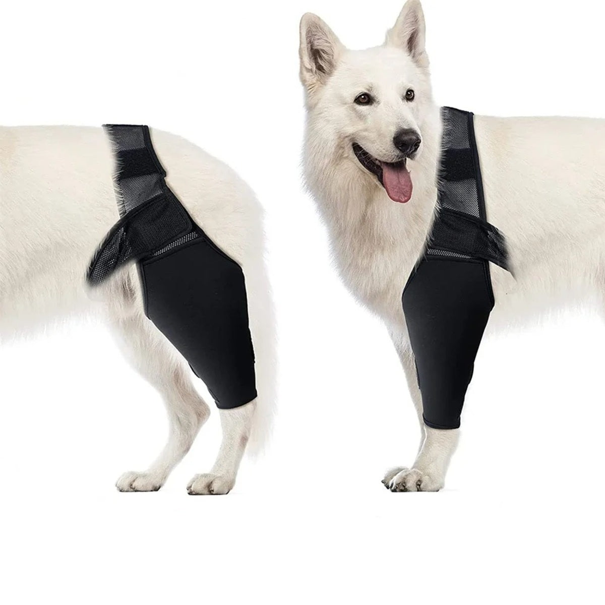 Dog Knee Brace | Adjustable Neoprene Support for Joint Pain & ACL Recovery for All Breeds