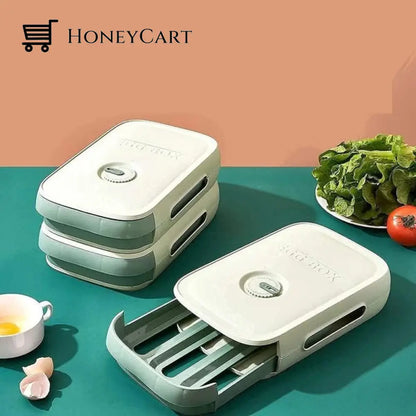 New Drawer Type Egg Storage Box Green