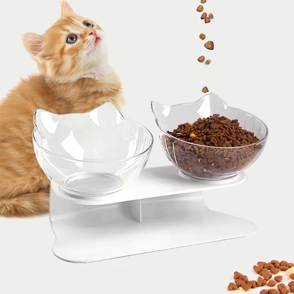 Non-Slip Dual Cat & Dog Feeding Bowls